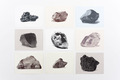 Nadja Frank, Field Study, 2014, Silkscreen print, ink on Stonehendge paper, ca. 200 x 300 cm, Photo: setform.de, 