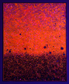 Mary Bauermeister, Nur-Rot (black light), 2015, Casein tempera and phosphorescent paint on canvas, 200 x 160 cm, Photo: setform.de, 
