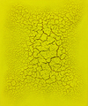 Alexei Kostroma, YELLOW EARTH 17:34, 2016, Organic yellow lemon pigment on canvas, 60 x 50 cm, Photo: Archive, 