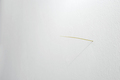 Fernanda Gomes, Untitled, 2009, Golden needle, 24 carat, ∅ 6.5 cm, Photo: Uwe Walter, 